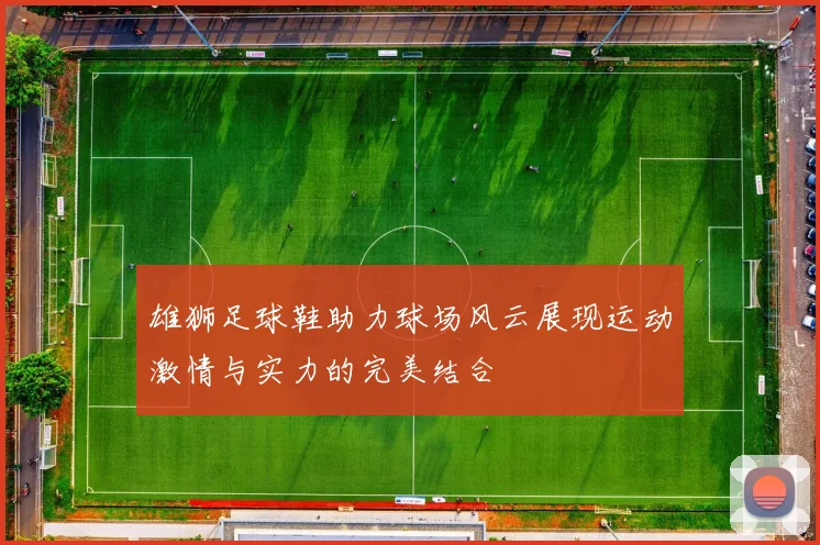 雄狮足球鞋助力球场风云展现运动激情与实力的完美结合