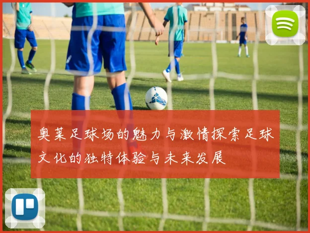 奥莱足球场的魅力与激情探索足球文化的独特体验与未来发展